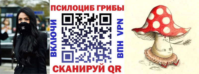 где продают наркотики  мега вход  Галлюциногенные грибы Magic Shrooms  Дубовка 